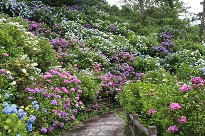 🌳 빛 스포츠 공원 (히카리 스포츠 코엔) 이미지 8